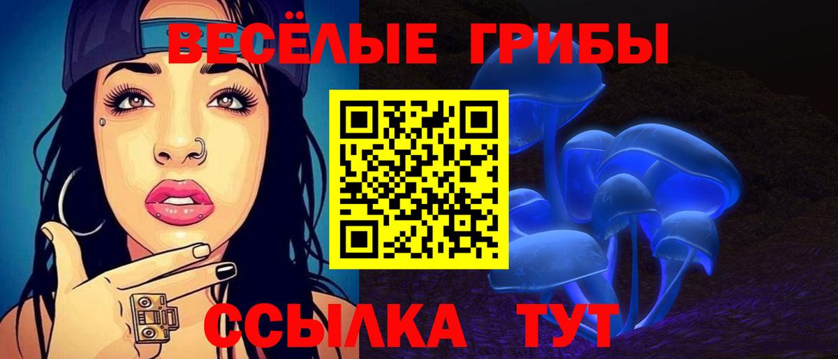 Галлюциногенные грибы Psilocybe Котельники